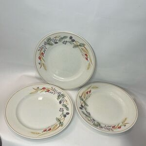Churchill Plates Made Staffordshire England Fine Tableware 9 1/2 In Round Set 3